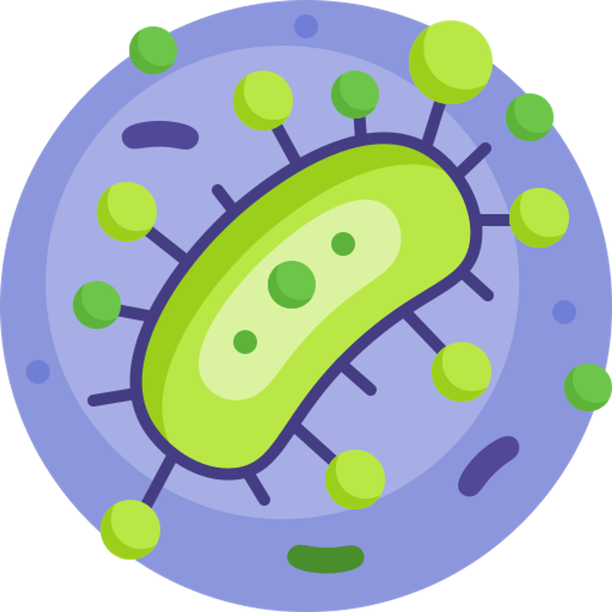 Bacterias, microbes & viruses
