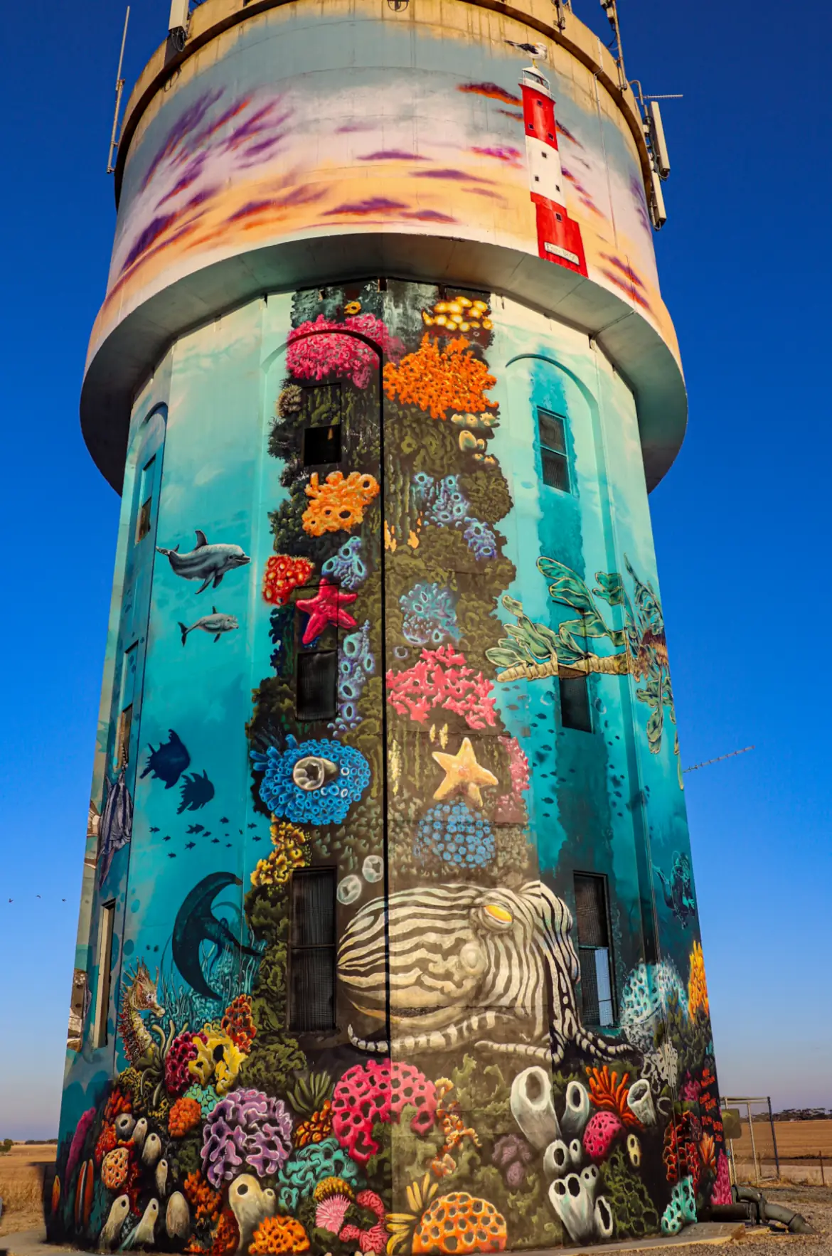 Edithburg Yorke Peninsula Water Tower Mural