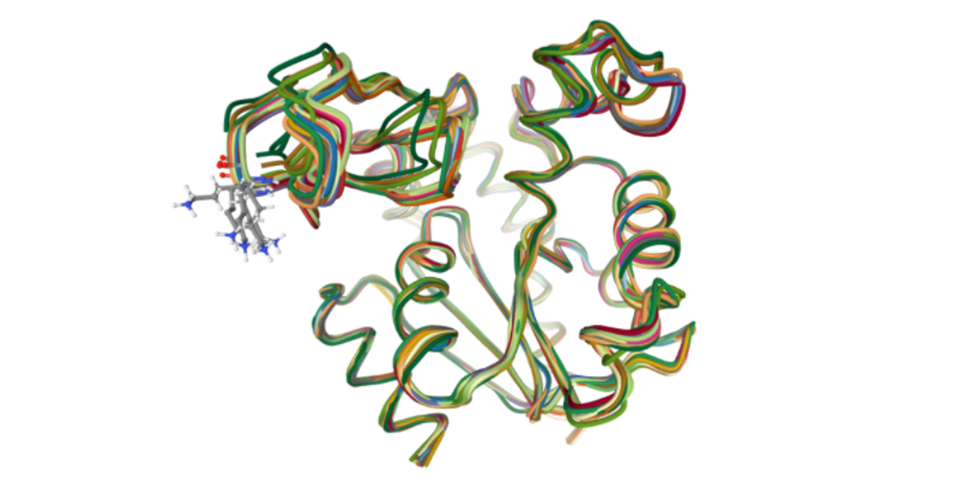 Protein Structure Similarity