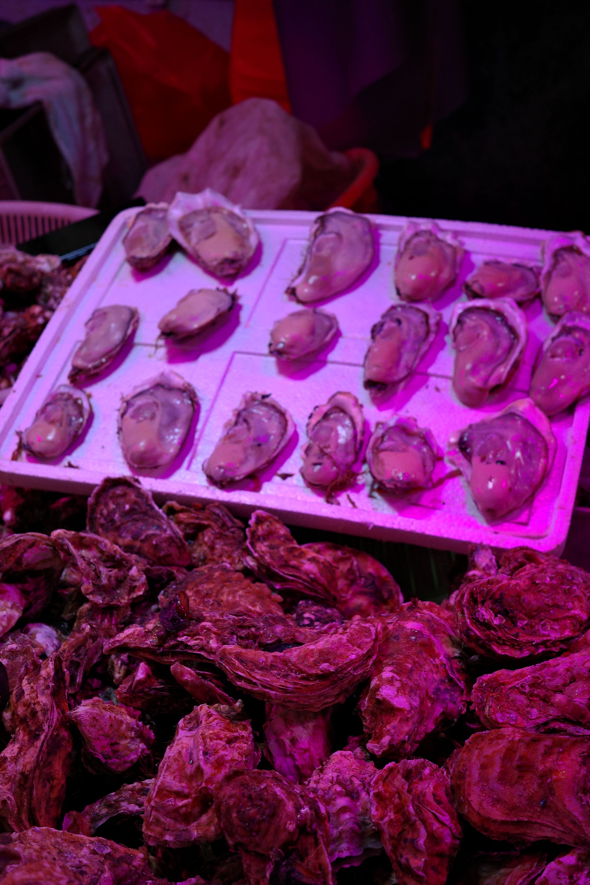 海鲜摊肥美的海蛎子