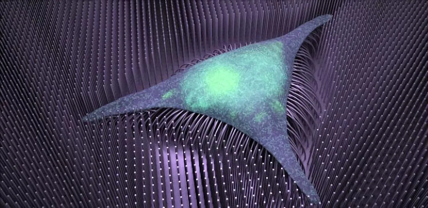 Nanotechnology Advances Regenerative Medicine: Bone Formation Comes Down to the Nanowire