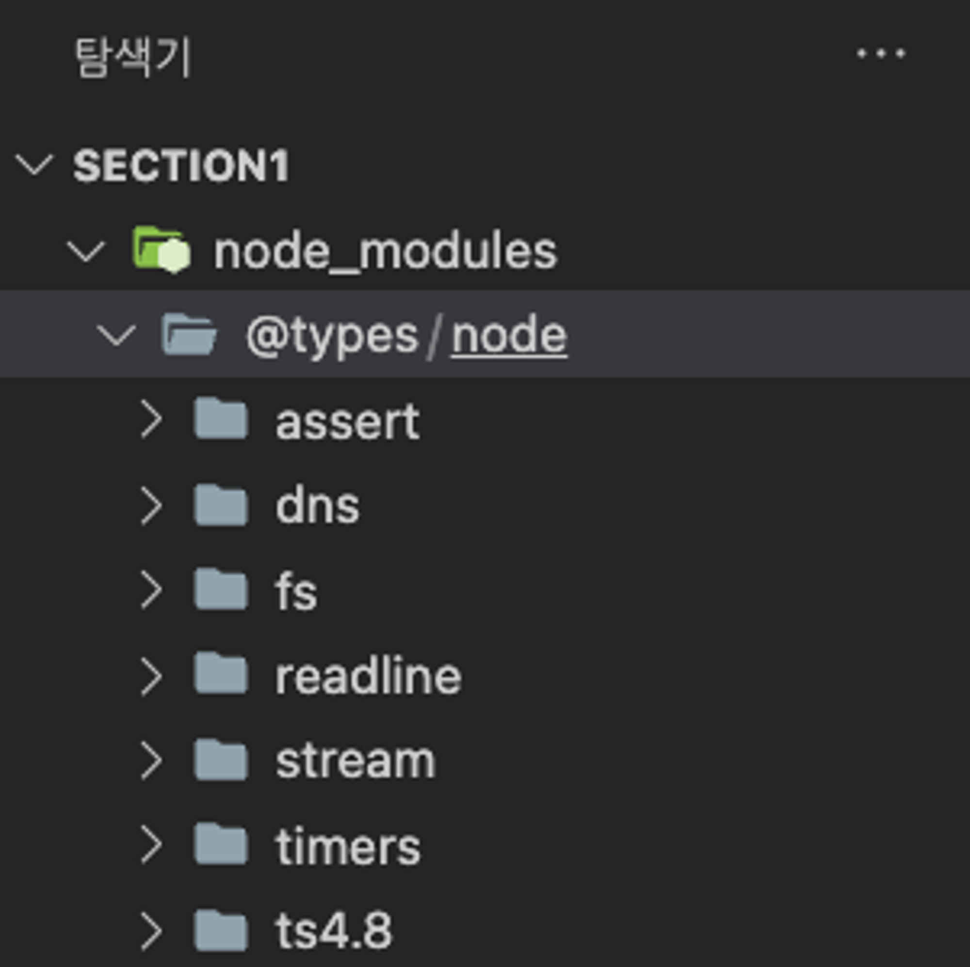 @types/node 설치시 생성되는 node_modules/@types