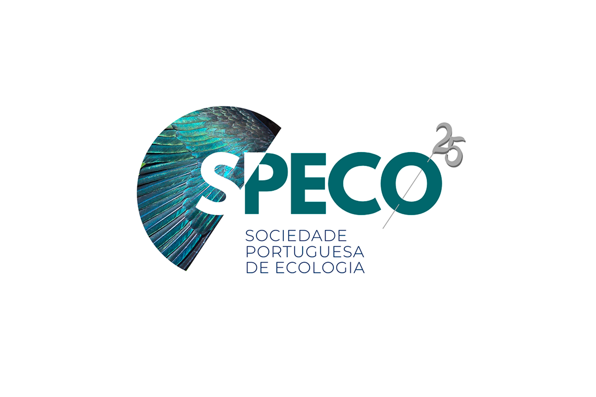 logo_speco_1200x800.png