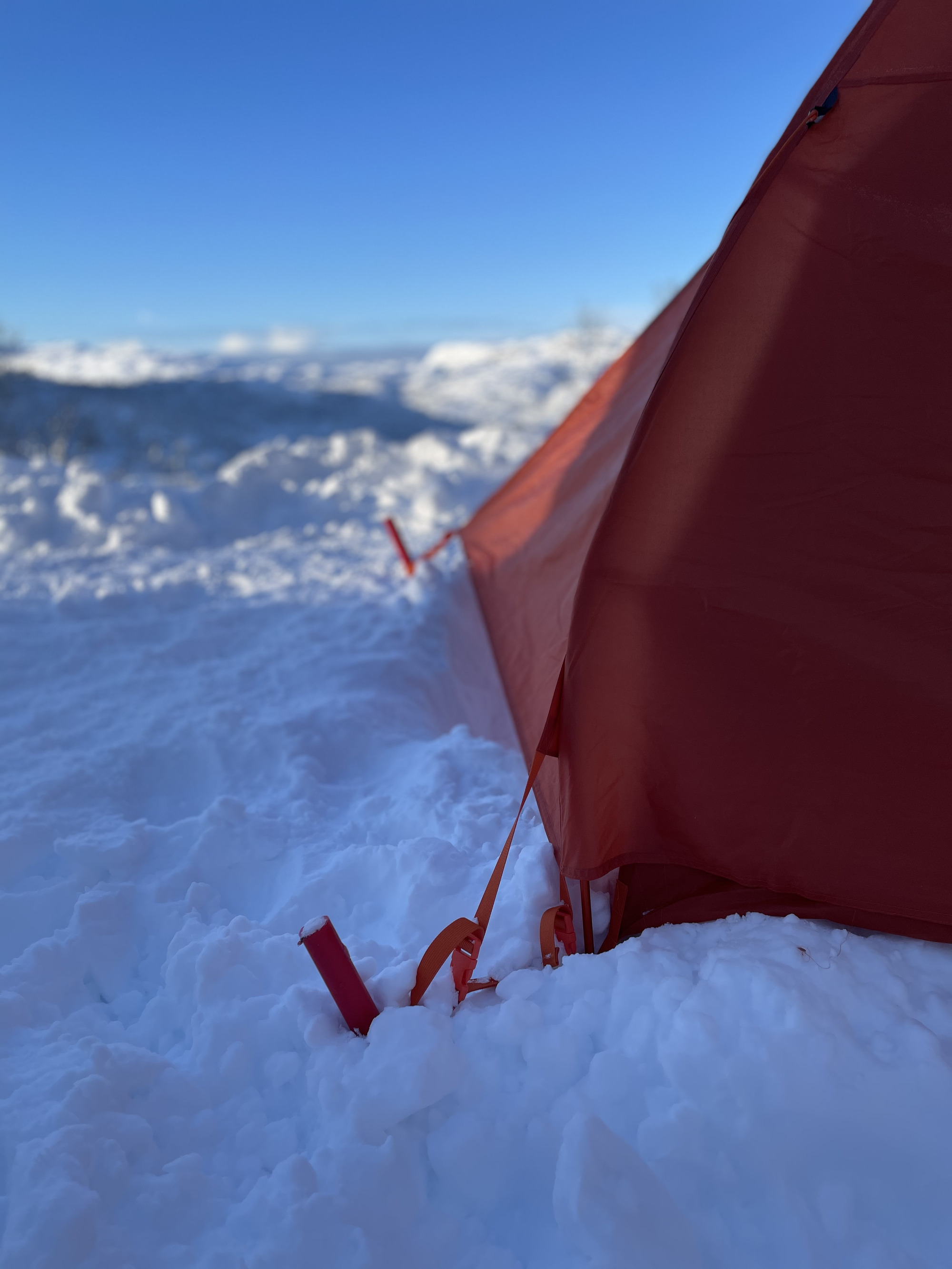 Brøytestikker som teltpluggar på vinteren.
Foto: Gina Wigestrand 