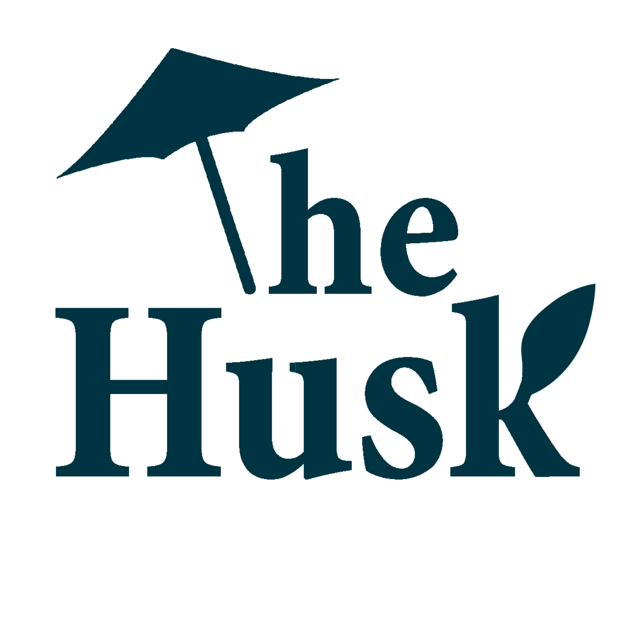 The Husk