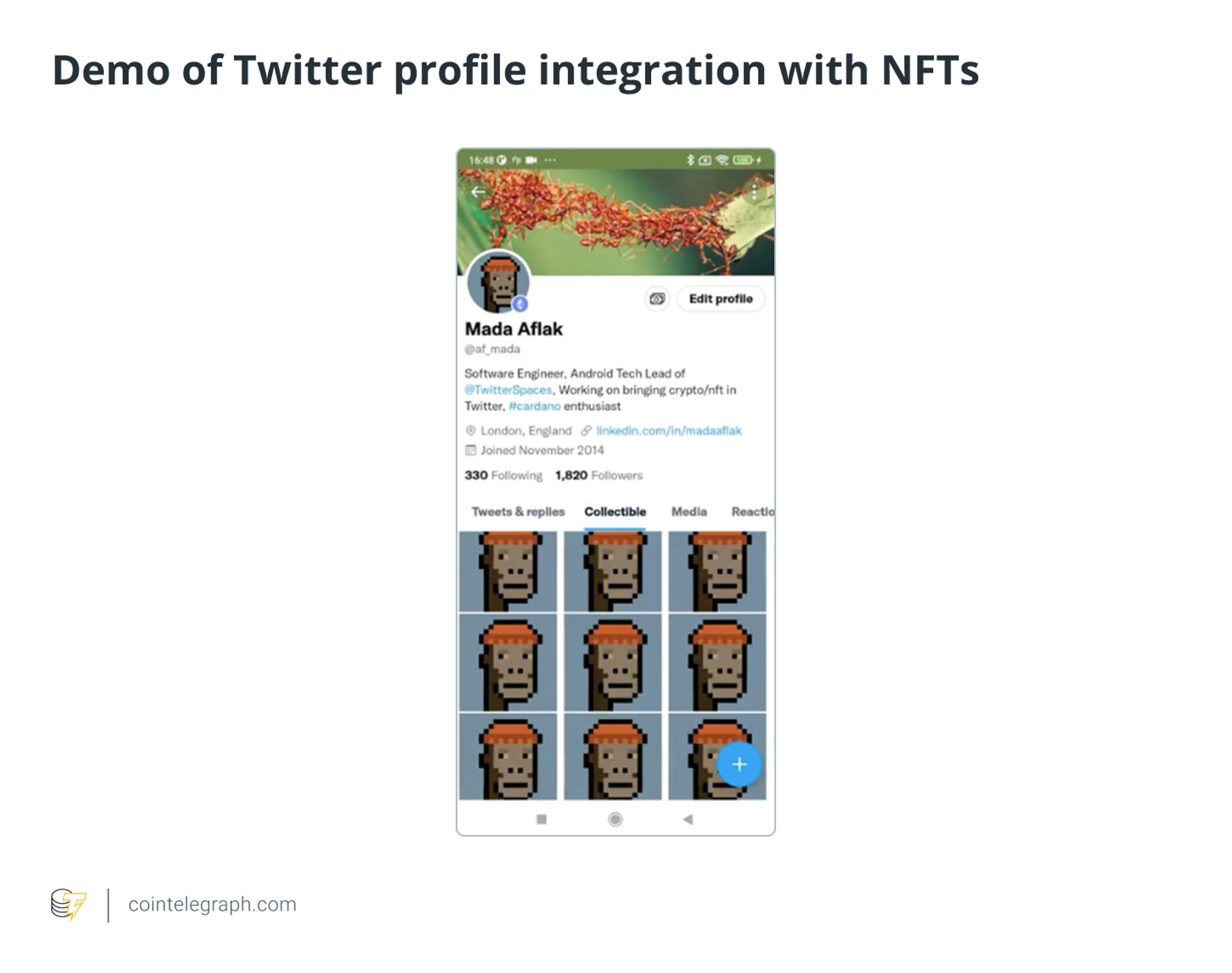 NFTs as micro-social networks: The path to crypto adoption
