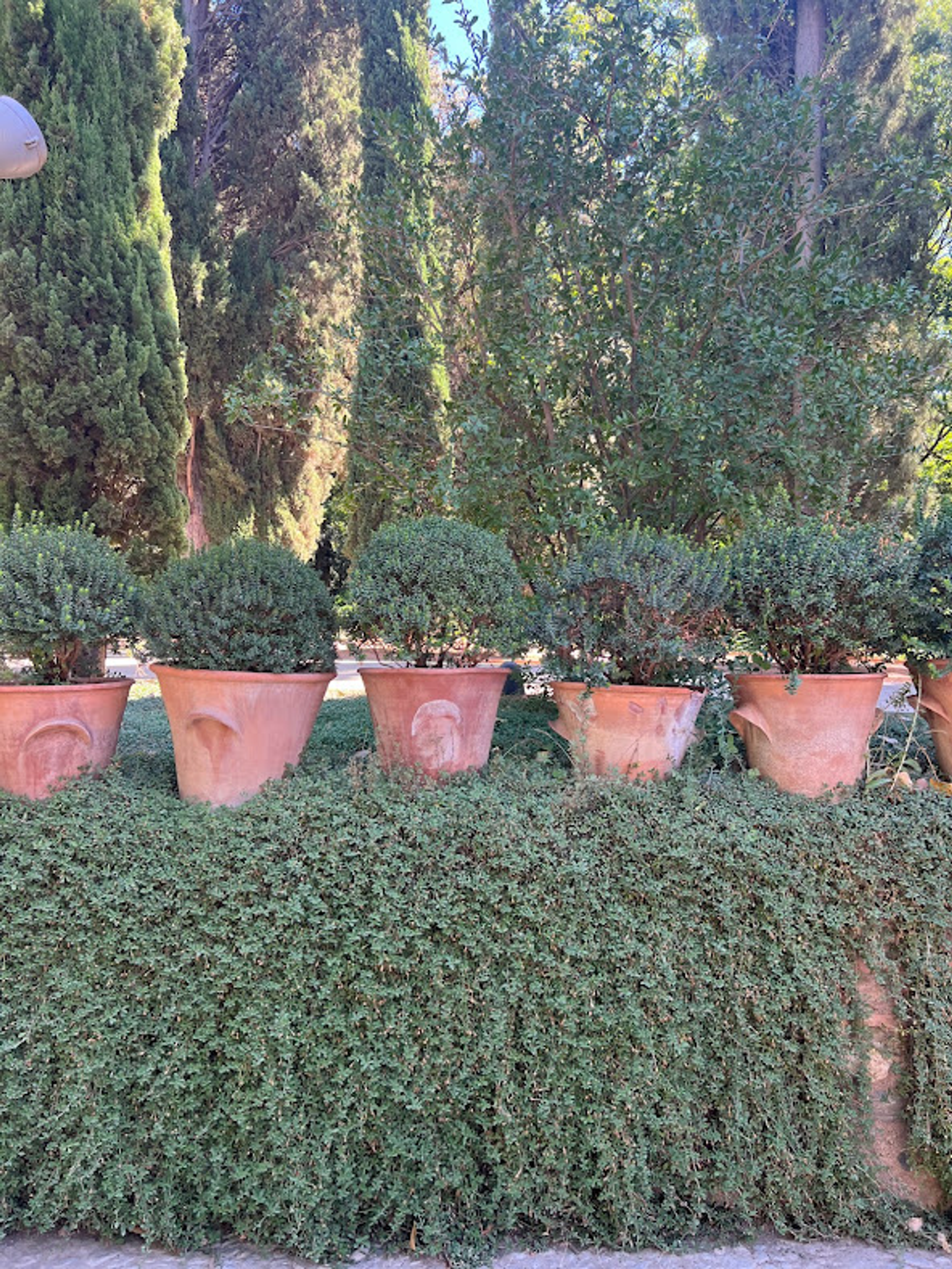 I’m really loving all the rows of pots everywhere