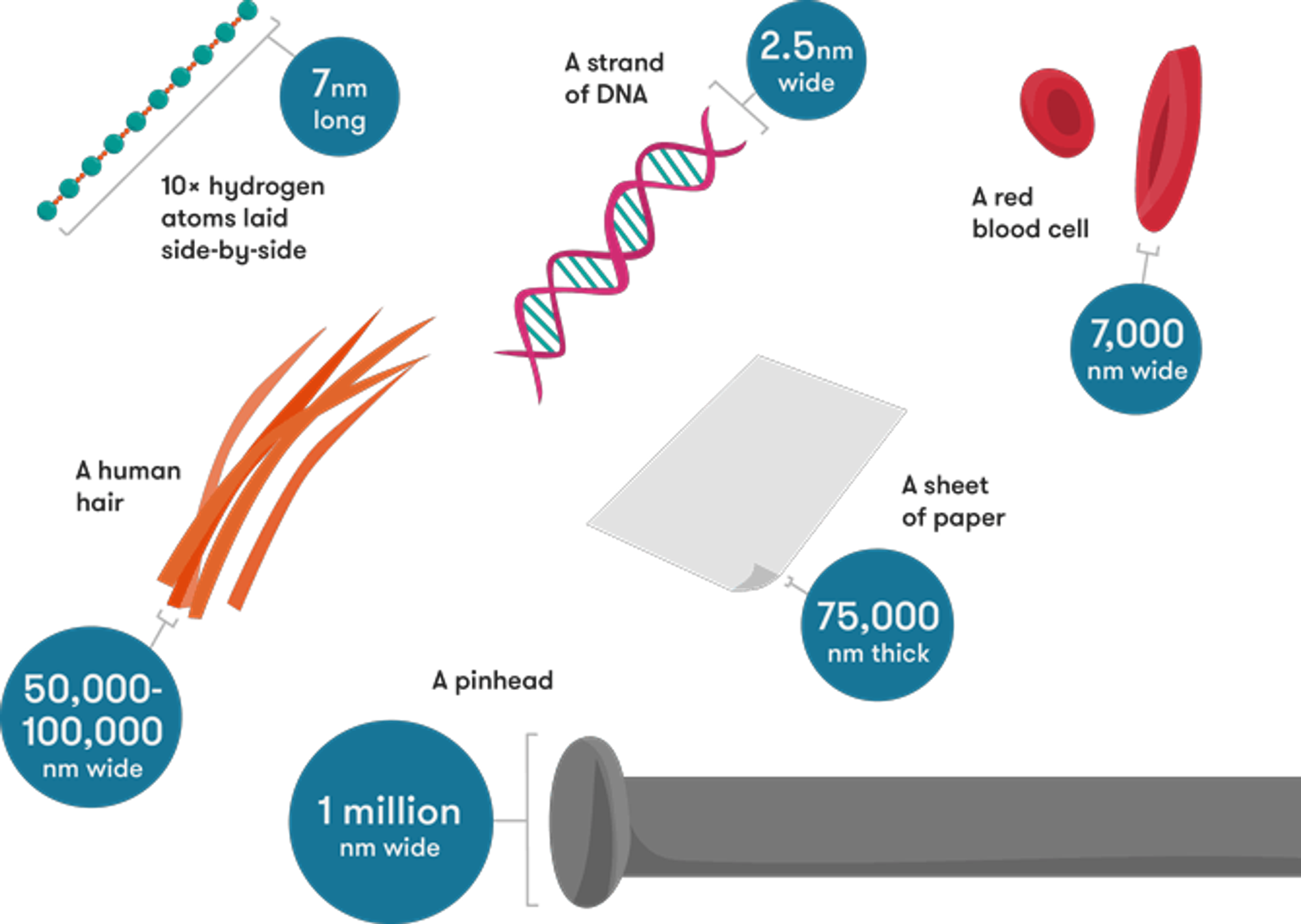 Een menselijke haar heeft een dikte van 50.000 tot 100.000 nanometers. Chips worden gemaakt op enkele nanometers. Kan je het voorstellen?