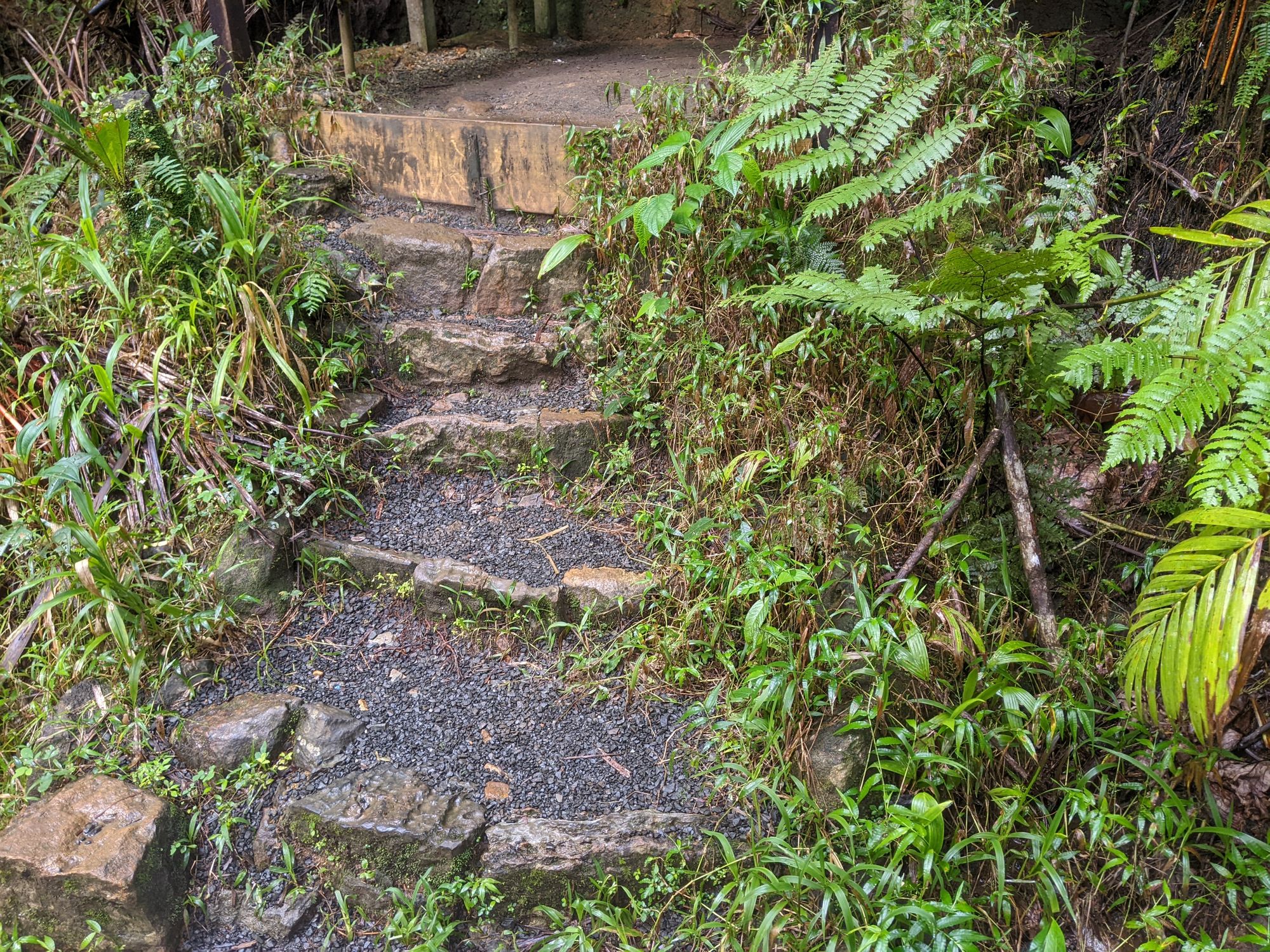 Pretty overgrown steps made with gravel - garden inspiration.