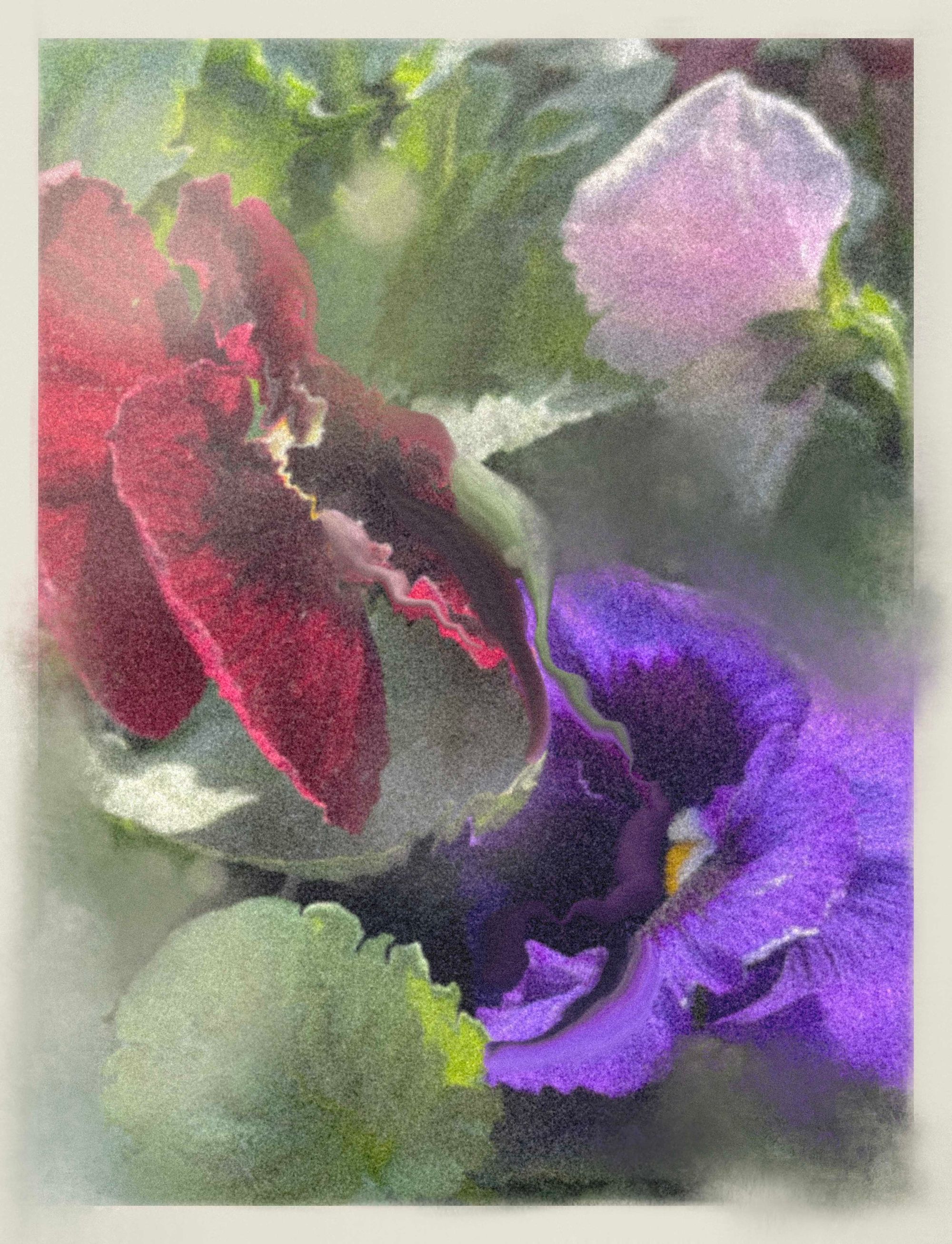 Ornament 10
# Minted 17 - Mint price: .01 ETH
10/05/2022  10/06/2022
Medium: Digital Composition

My mom dropped by some pansies to plant now that the weather is getting cooler. 
