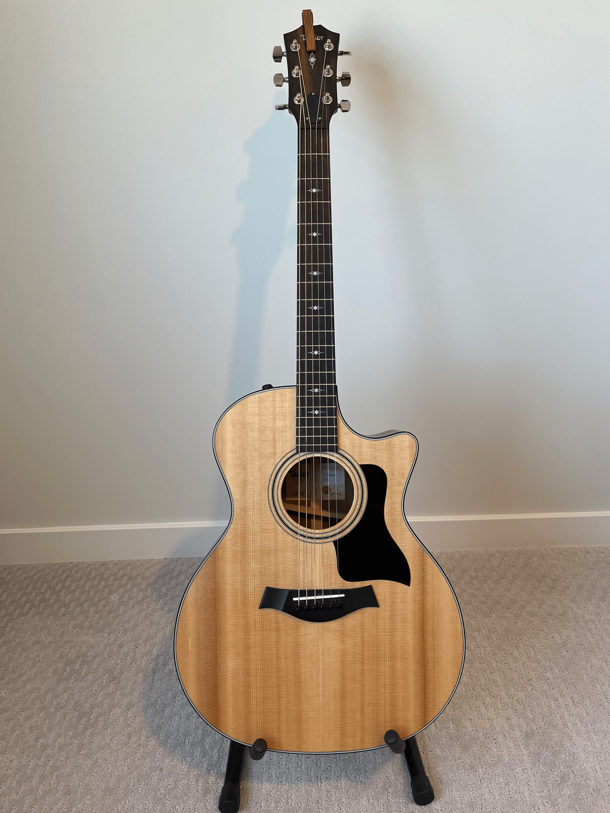Taylor 314CE acoustic guitar