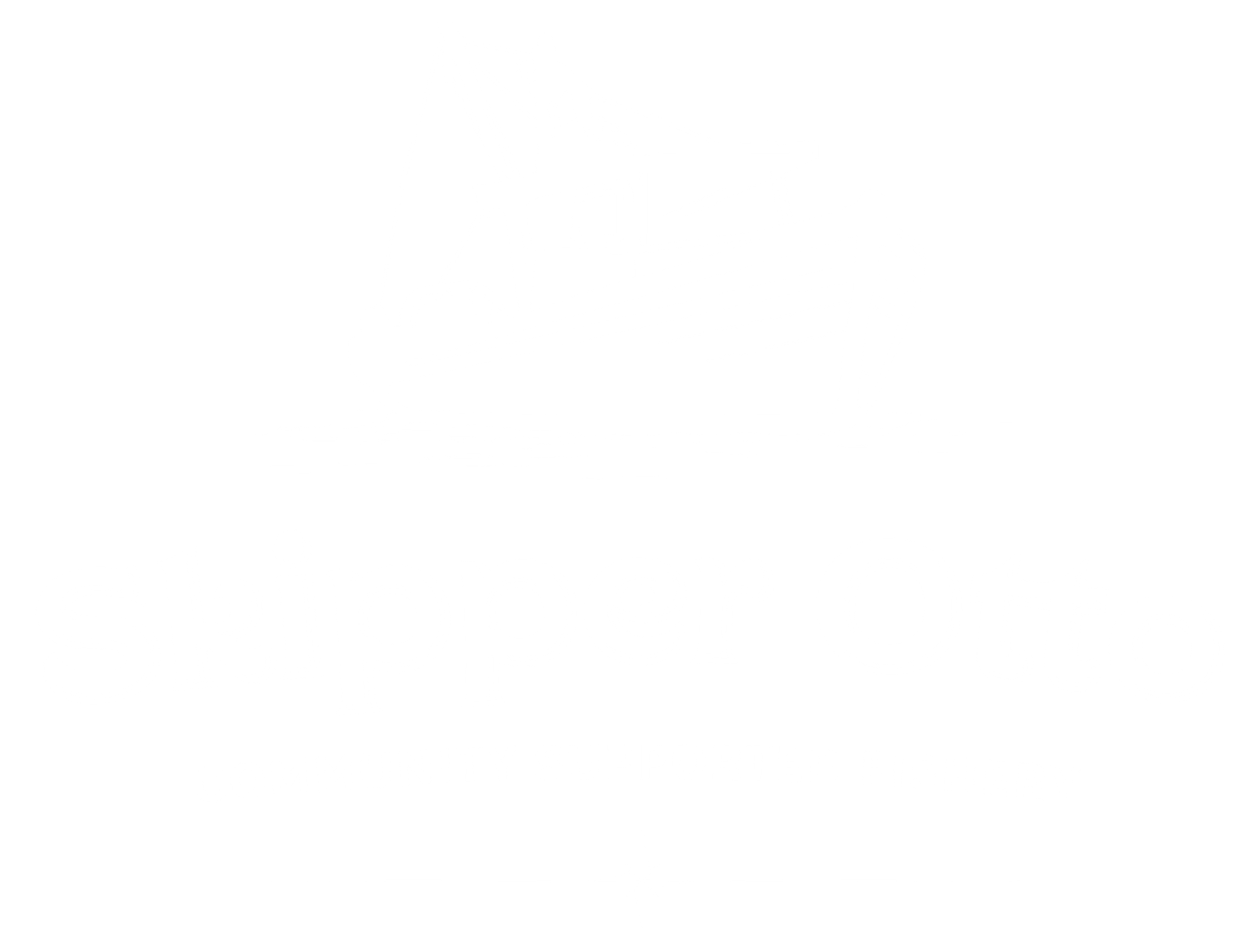 Skipper Otto