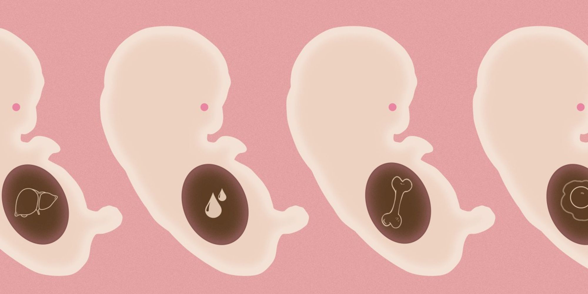 This startup wants to copy you into an embryo for organ harvesting