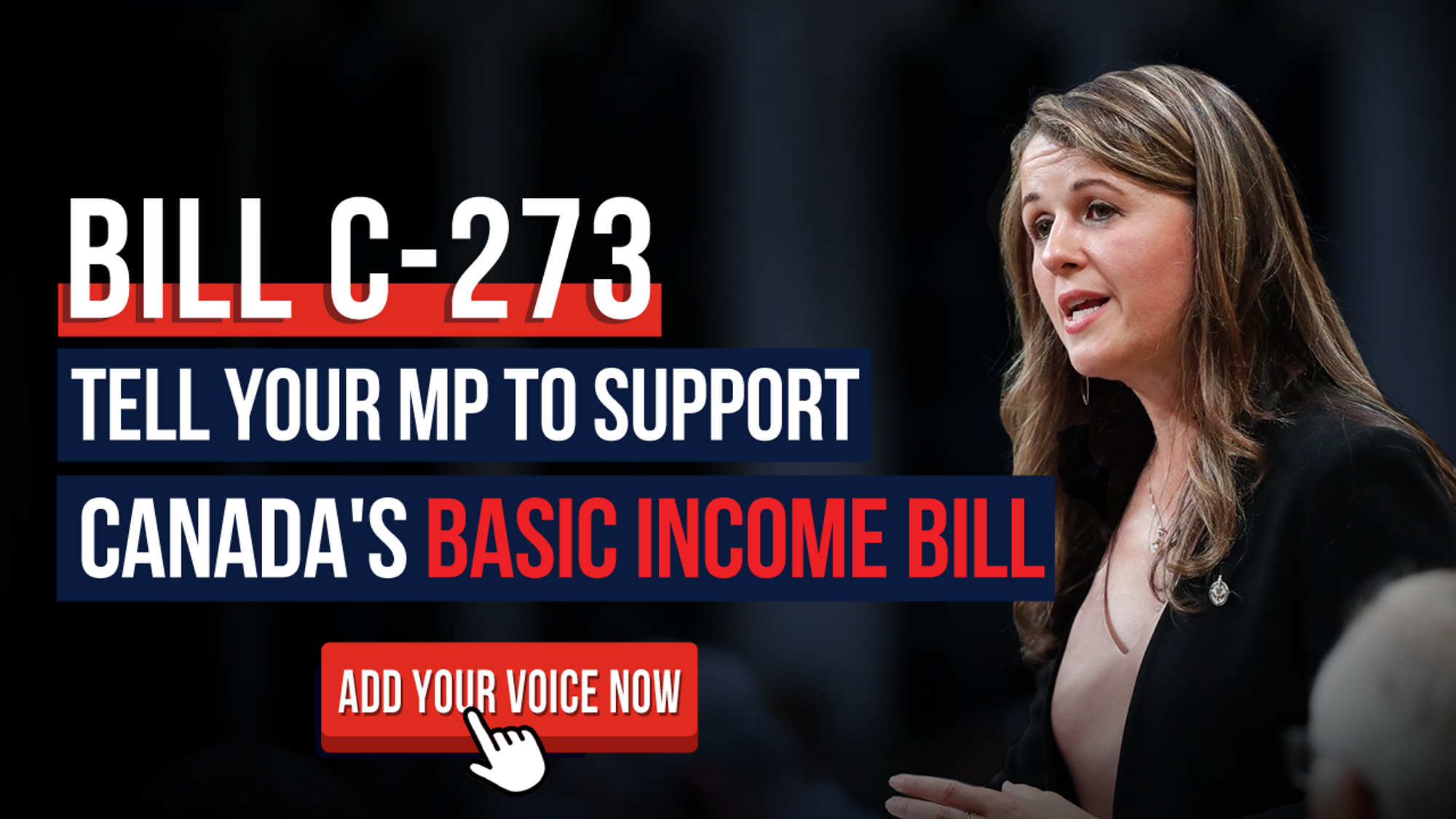 Canada's First Basic Income Bill C-273 - Add Your Voice ...